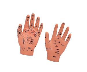 3. Modèle de développement des compétences de massage pour bébé avec acupoints marqués - Anatomie réaliste du nourrisson pour soins infirmiers pédiatriques - Modèle de massage pédiatrique