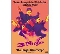 3 Ninjas by Fritzi Burr