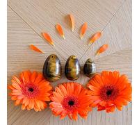 3 Oeufs De Yoni en Oeil de Tigre - troué