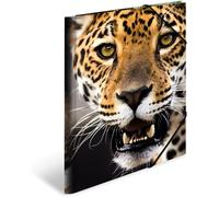 3 Pack A4 Leopard Print Folder For Kids With Inner Printing And Elastic Band,Pack Of 3 Sturdy Plastic Folders For Boys And Girls