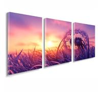 3 Pcs Cadre en Bois Impression sur Toile, Tableau Decoration Murale, Tableau Coucher de soleil Affiche Decoration Murale Pissenlit Poster et Arts Décoratifs Cuisine Salon Chambre 40x60 cm 1f-519