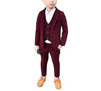 3 Pcs Costume Garçon Veste Gilet Pantalons Combinaison pour Mariage Ensemble Tenue Cérémonie Enfant 3-8Ans Violet Rouge 110