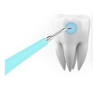 3 pcs Détartreur dentaire sonique électrique Ecelen portable dissolvant de calcul des dents taches outil de tartre dentiste blanchissant brosse à