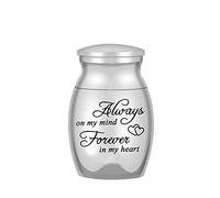 3 Pcs Urnes Miniatures pour Cendres Humaines - Conteneur de Commémoration, Urne Funéraire Métallique pour Animaux de Compagnie, Argent(A17)