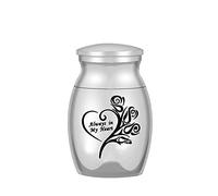 3 Pcs Urnes Miniatures pour Cendres Humaines - Conteneur de Commémoration, Urne Funéraire Métallique pour Animaux de Compagnie, Argent(A03)