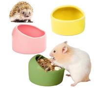 3 Pièces Bols en Céramique pour Hamsters et Cochons d'Inde - Anti-Morsures, Mangeoire en Terre Cuite