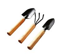 3 pièces/Ensemble Ensemble d'outils de Jardin râteau Pointe Pelle Grand Jardinage Mini Plante succulente Sol en Vrac Fleur Alliage d'aluminium Gardenin