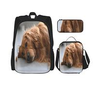 3 pièces ensemble sacs à dos mignon Golden Retriever sur le sol Art livre sac voyage Camping travail école sac trousse à crayons sac à déjeuner combinaison pour hommes femmes garçons filles taille u
