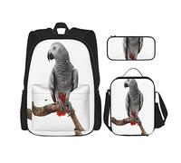 3 pièces ensemble sacs à dos perroquet oiseau Psittacus erithacus debout sur une branche nature tropicale faune livre sac voyage travail école sac trousse à crayons sac à déjeuner combinaison pour h