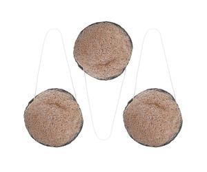 3 Pièces Éponge Visage Double Face, Nettoyage Profond, Peau Mixte | Absorbe L’excès de Sébum, Réutilisable, Usage Bain, pour Tous Types de Peau