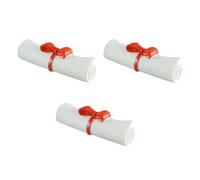 3 Pièces Ornement de Remise de Diplôme en Résine, Mini Parchemin | Décoration de Scène et Étagère, Modèle Délicat au Style Unique, Objet DIY pour Souvenir