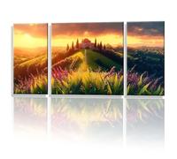 3 Pièces Peinture Numero Adulte, Coucher soleil Paysage Peinture par Numéro, avec Pinceaux Bricolage Peintures Kits, Loisir Creatif Débutants, Décoration Murale de la Maison 30x60cm Sans Cadre y1s-626