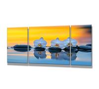 3 Pièces Peinture Numero Adulte - DIY Bougie Peinture par Numero Adultes, Inclure Acrylique et Pinceau, Loisirs Activités Numéro D'art Artisanales Paint by Numbers, Fleur, 60x120cm Sans Cadre 0q-132