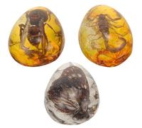 3 Pièces Spécimen D'insecte en Résine, Pendentif Décoratif | Design de Spécimen Unique, Résine Percée, Style Simple et Élégant, pour Collection et Création Artisanale