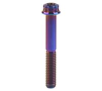 3 pièces titane M10X20/25/30/35/40/45/50/55/60/65/70mm pas Torx 1.25/1.5mm for voiture et moto(Burn Blue,M10X30mmxP1.25mm)