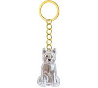 3. Porte-clés Commémoratif Pour La Perte D'un Animal De Compagnie Étui De Rangement Transparent Pour Poils De Chien Ou Cendres Pour Les Propriétaires En Deuil Boîte Commémorative Transparente Du De