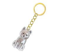 3 Porte-clés commémoratif pour perte d ' animal de compagnie Étui de rangement transparent pour poils de chien ou cendres pour propriétaires en deuil Boîte à bijoux pour chien Porte-clés de rangement