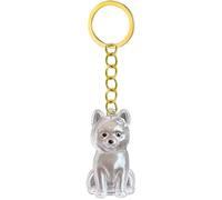 3. Porte-clés commémoratif pour perte d'animaux de compagnie, étui de rangement transparent pour poils de chien ou cendres pour propriétaires de deuil, boîte à bijoux, porte-clés souvenir, cadeau