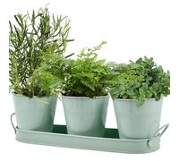3 Pots à Herbes Aromatiques en Métal,Pot à Herbes Plantes D'intérieur Plateau,Cultivez des Fraîches chez Vous Jardinière Rebord de Fenêtre pour Basilic,Menthe, Persil,Fraîches