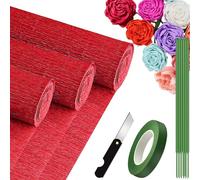 3 Rouleaux de Papier Crépon Rouge - 25 x 250cm, DIY Flowers Crafts, Papier Crepon pour Mariages, Fêtes d'anniversaire, Saint-Valentin, Festival Décorations (Rouge)
