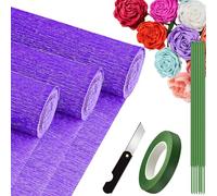 3 Rouleaux de Papier Crépon Violet - 25 x 250cm, DIY Flowers Crafts pour Enfants/Adulte, Papier Crepon pour Mariages, Fêtes d'anniversaire, Saint-Valentin, Festival Décorations (Violet)