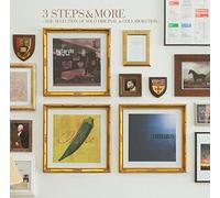 3 Steps to the Next – 2CD/DVD – Import allemand