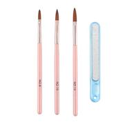 3 Stylos À Ongles Et 1 Lime À Ongles, Ensemble De Pinceaux À Ongles, Stylo À Ligne De Crochet De Détail, Outil De Peinture, Adapté À L'Extension Des Ongles, À La Conception De Graffitis.