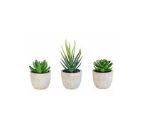Carlo Milano 3 succulentes artificielles en pots 8/9/15 cm