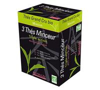 Nutrigée 3 Thés Minceur Triple Action 30 sachets