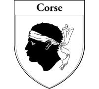 3 transferts thermocollants 4x5 cm écusson blason 20 CORSE 2A 2B