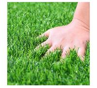 3 X 10M' (32.8 Ft) Gazon Artificiel Réaliste Faux Gazon Gazon Synthétique De Luxe 2CM Pelouse épaisse pour Animaux De Compagnie Zone De Pipi pour Chiens, Disponible sur Mesure(Size:3x10m)