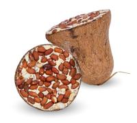 3 x 8 pcs. Lyra Pet® Cloche d'alimentation Energie Boost avec cacahuètes