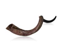 30"-32" Moitié Poli Moitié Naturel Kudu Corne Shofar Clear Sound Bonne Qualité