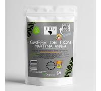 30 à 38 Griffes de Lion 50g environs - Martynia annua | Infusion et Tisane Traditionnelle Africaine | Plante Médicinale Naturelle pour Bien-être, Relaxation, Sérénité et Usage Spirituel