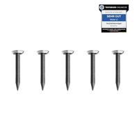 30 clous de 20 mm de long - Clous en acier pour utilisation sur béton, brique, plâtre et bois - Clous en acier trempé comme images à suspendre - Fabriqué en Europe (tête argentée, 20 mm)