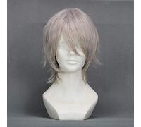 30 cm Inu X Boku Ss Miketsukami Soushi Cosplay perruques gris courte résistance à la chaleur Fiber cheveux perruque + bonnet de perruque
