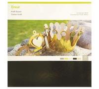 30 Feuilles carton kraft métallisé 30,5 cm Cricut Multicolore