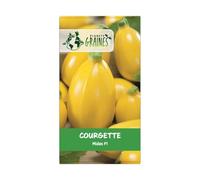30 graines de courgette Midas F1