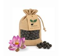 30 graines de lotus premium - Nelumbo Nucifera | Résistantes à l’hiver et de haute qualité | Pour bassins, bols et jardins d’intérieur et d’extérieur - Culture facile, fleurs de lotus exotiques