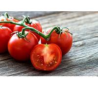 30 Graines de Tomate Saint Pierre - légume ancien jardin potager - semences paysannes reproductibles - SemiSauvage