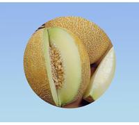 30 graines Melon emir F1 - melon charentais