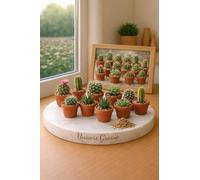 30 Graines Mini Cactus assortis - Mélange de 10 variétés de cactus et succulentes - Graines de plantes grasses - Semences décoration intérieur - Fleur Jardin - 476