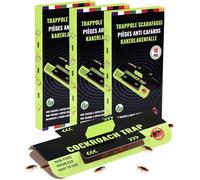 30 PCS Piege Cafard et Blattes Produit Anti Cafard Puissant Professionnel