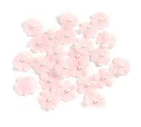 30 pièces d ' appliques de fleurs en tissu à coudre, B