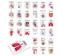 30 pièces/Ensemble Cartes Flash d'anatomie Carte Flash d'anatomie Humaine inscriptible de Poche
