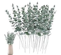 30 Pièces Eucalyptus Artificiel,Fleur Sechees Decoration Plante Artificielle Eucalyptus Branche Decorative Feuillage Artificiel Vertes Avec Tige,pour Maison et Table Noël Décoration(Blanco Verde)
