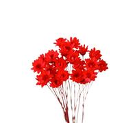 30 Pièces Marguerite Préservée Rouge en Boule de Verre | Fleur Naturelle Délicate, Tenue Solide sans Faner ni Pâlir, pour Bureau et Maison