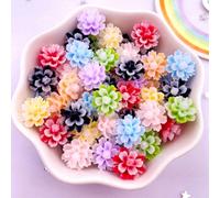 30 pièces Mélange 12mm Résine Double Couche Couleur Bonbon Plat Retour Fleur Strass Scrapbooking Mariage Art Applique DIY Bijoux Artisanat Accessoires Été, École Taille UniquePlantesSAN