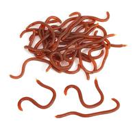 30 Pièces Ver de Terre Artificiel, Biomimetic Soft Appât Pêche Leurre, Fausse Réaliste vers de Terre