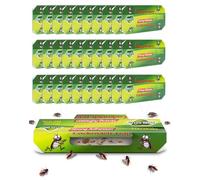 30 Pièges à Cafards et Blattes Collant Piège Anti Cafard Puissant Non Toxique Professionnel Attrape-Cafards Collant Efficace pour Jardin Maison Cuisine Salle de Bain Bureau